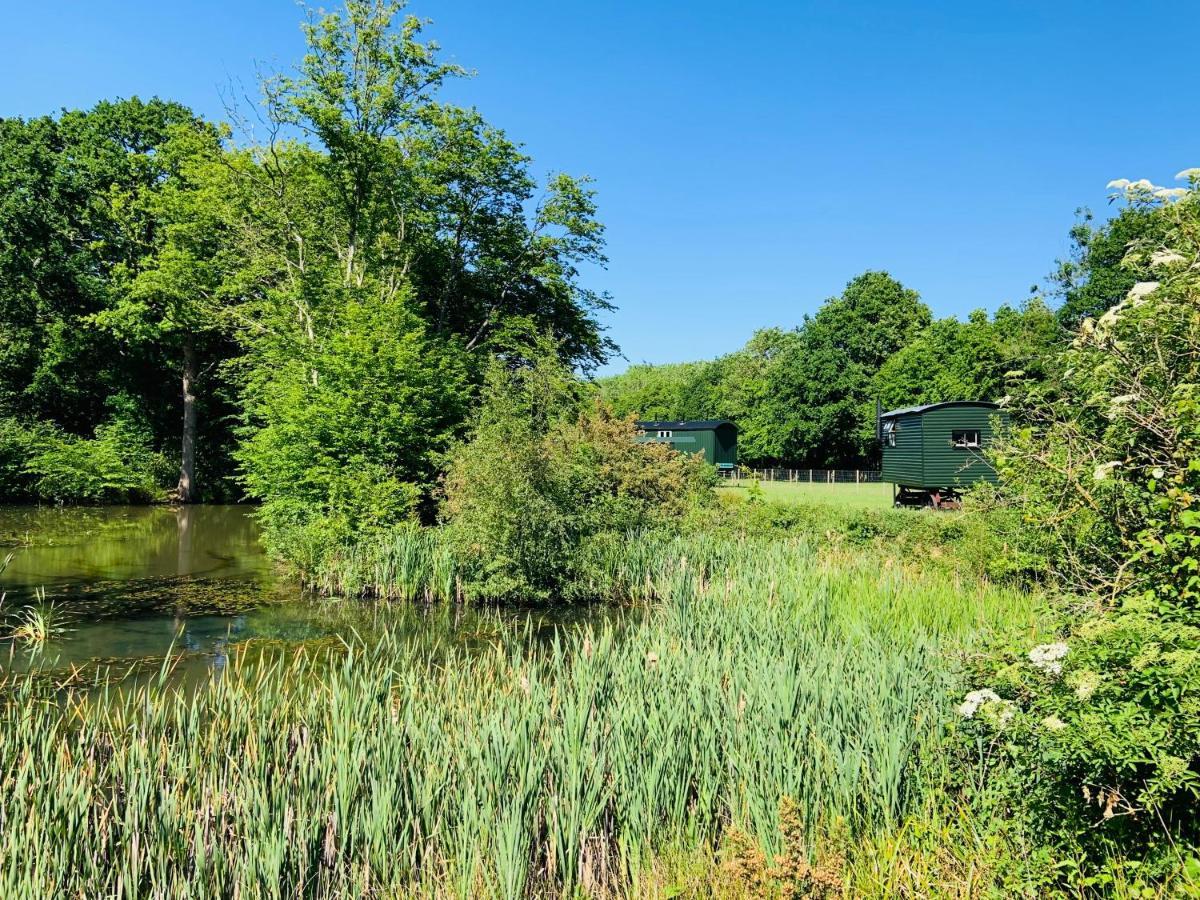 The Big Green Shepherds Hut Чарлвуд Экстерьер фото